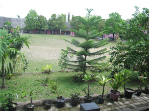 Taman dan Halaman sekolah